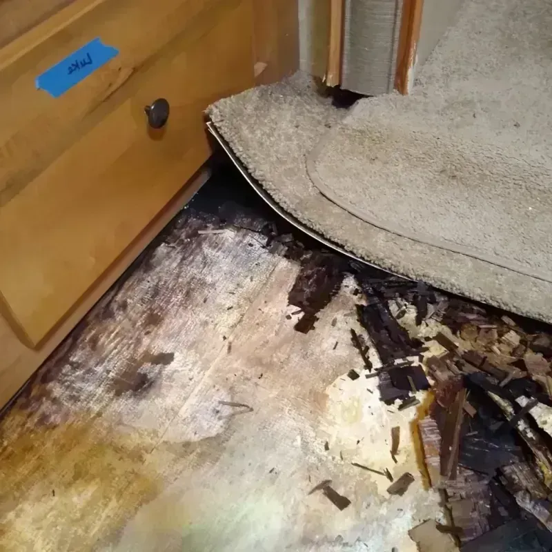 Best Wood Floor Water Damage Service in Waldwick, NJ